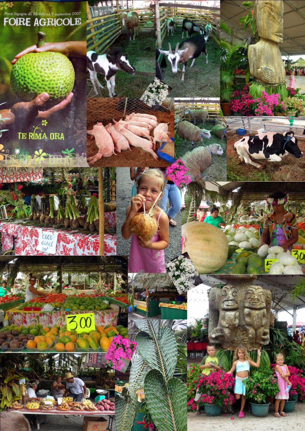 foire agricole