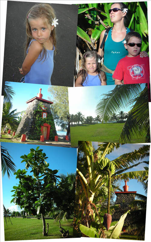 pomare